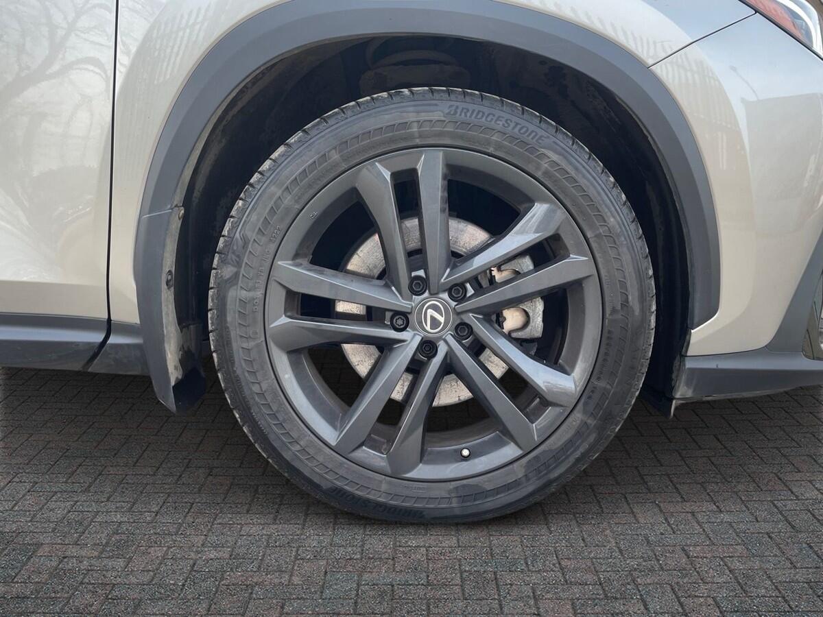 Used Lexus NX 2023 for sale - 77994858: Photo 6