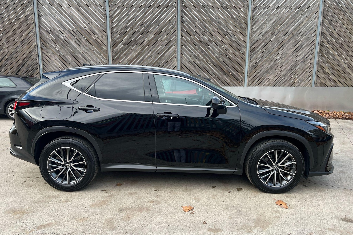 Used Lexus NX 2023 for sale - 77177403: Photo 3