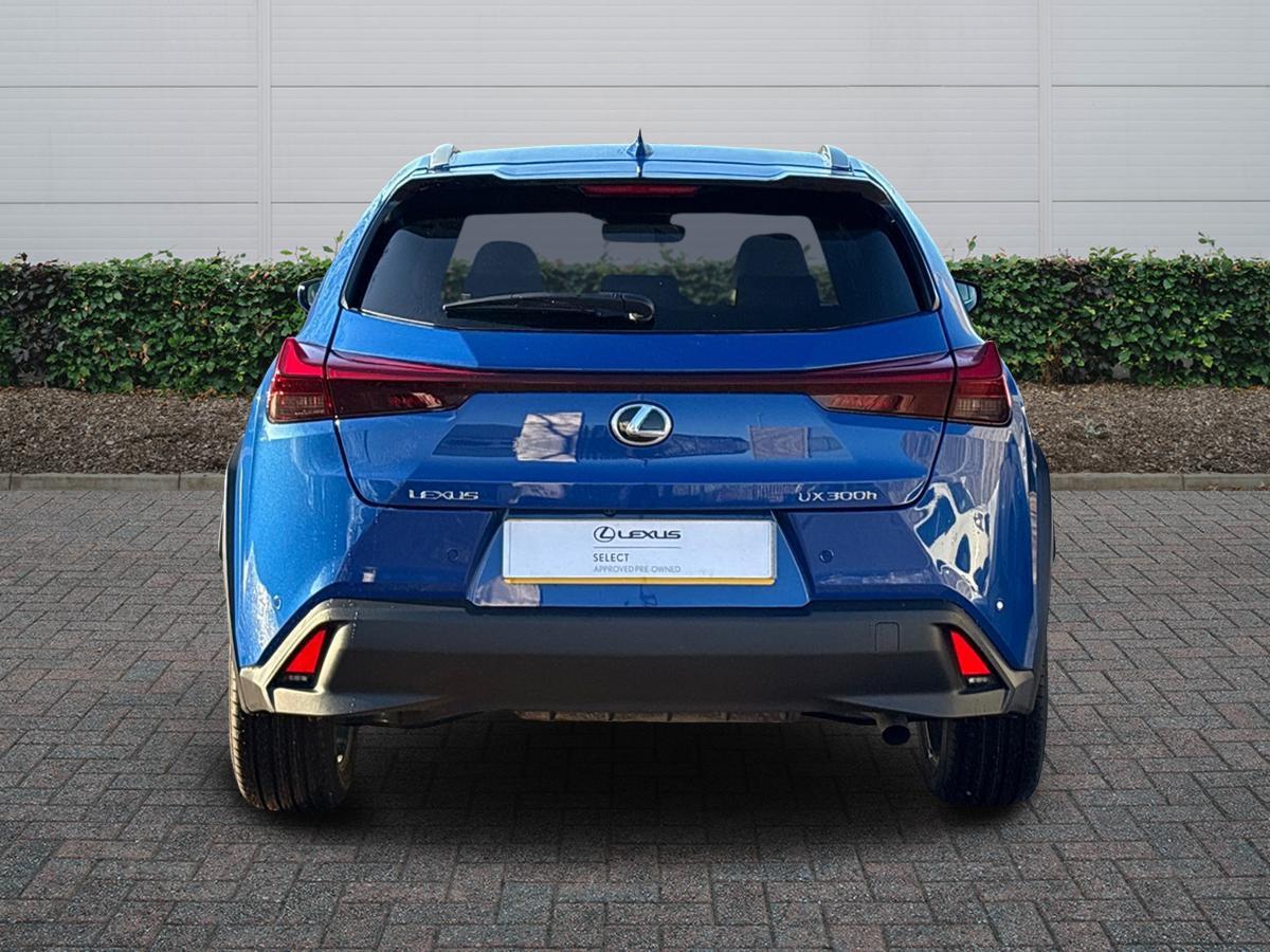 Used Lexus UX 2025 for sale - 77176860: Photo 4