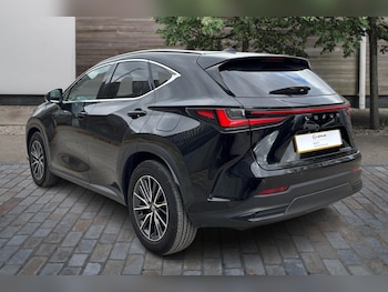Used Lexus NX 2024 for sale - 77176607: Photo