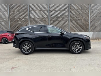 Used Lexus NX 2024 for sale - 77176607: Photo