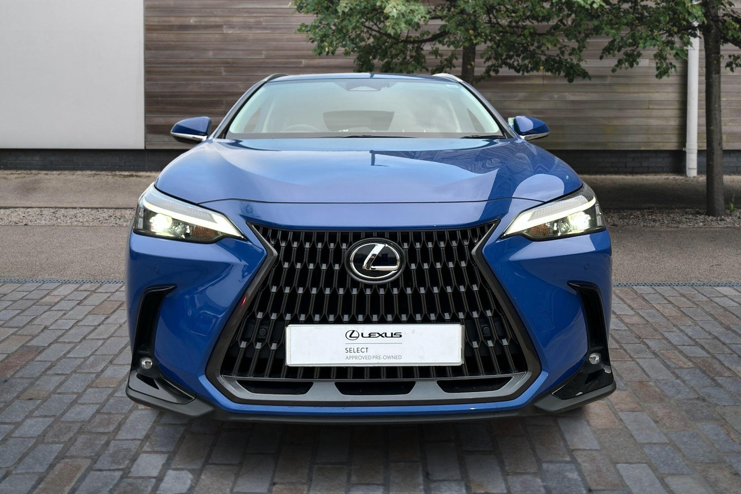 Used Lexus NX 2025 for sale - 76110917: Photo 5