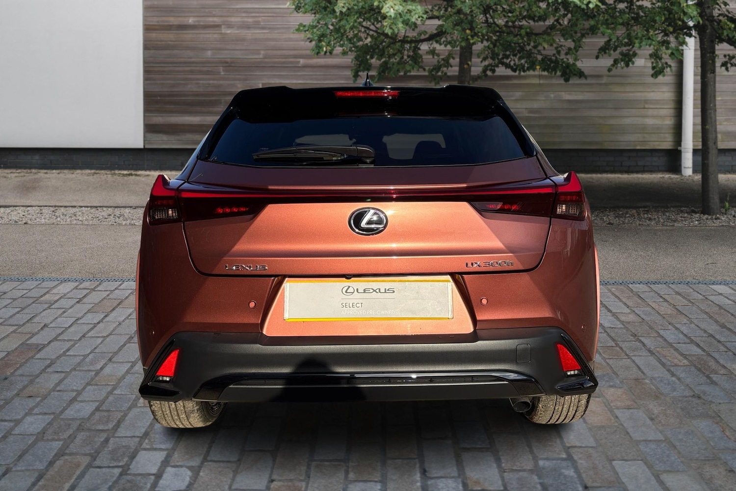 Used Lexus UX 2025 for sale - 77177290: Photo 10
