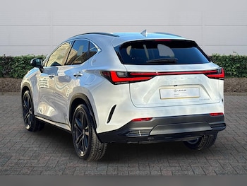 Used Lexus NX 2025 for sale - 76800607: Photo