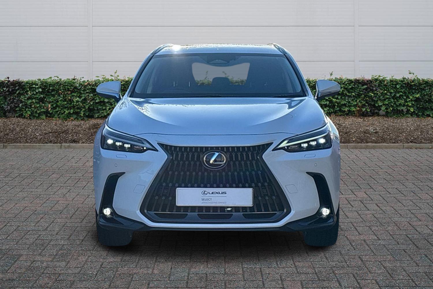 Used Lexus NX 2025 for sale - 76800607: Photo 3