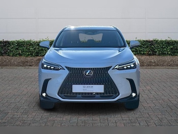 Used Lexus NX 2025 for sale - 76800607: Photo