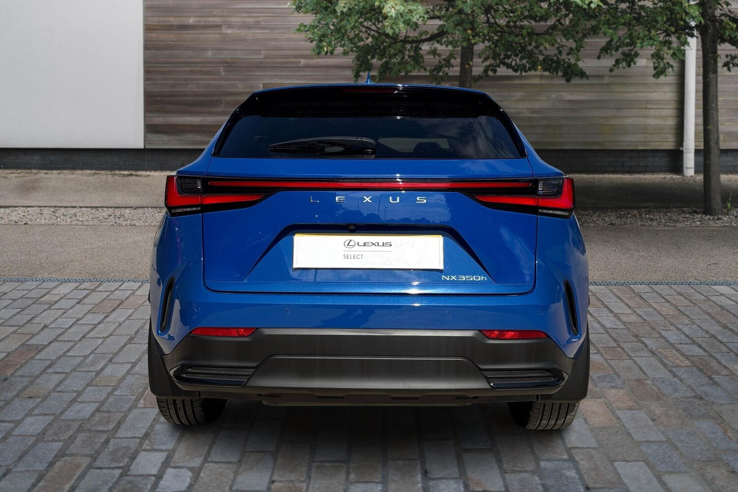 Used Lexus NX 2023 for sale - 76111041: Photo 10