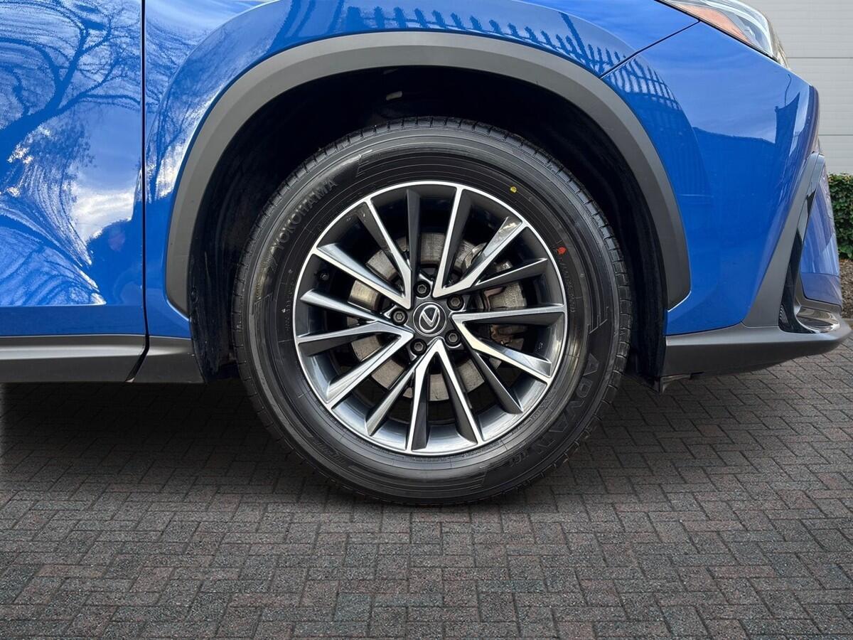 Used Lexus NX 2023 for sale - 77315873: Photo 6