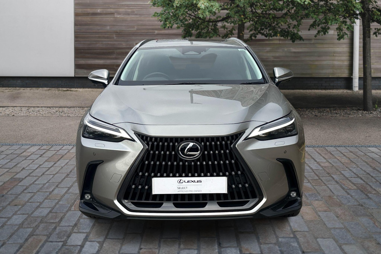 Used Lexus NX 2025 for sale - 76110573: Photo 4