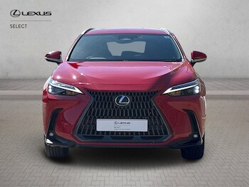 Used Lexus NX 2025 for sale - 78102526: Photo