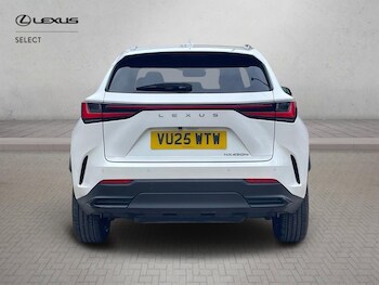 Used Lexus NX 2025 for sale - 78405956: Photo