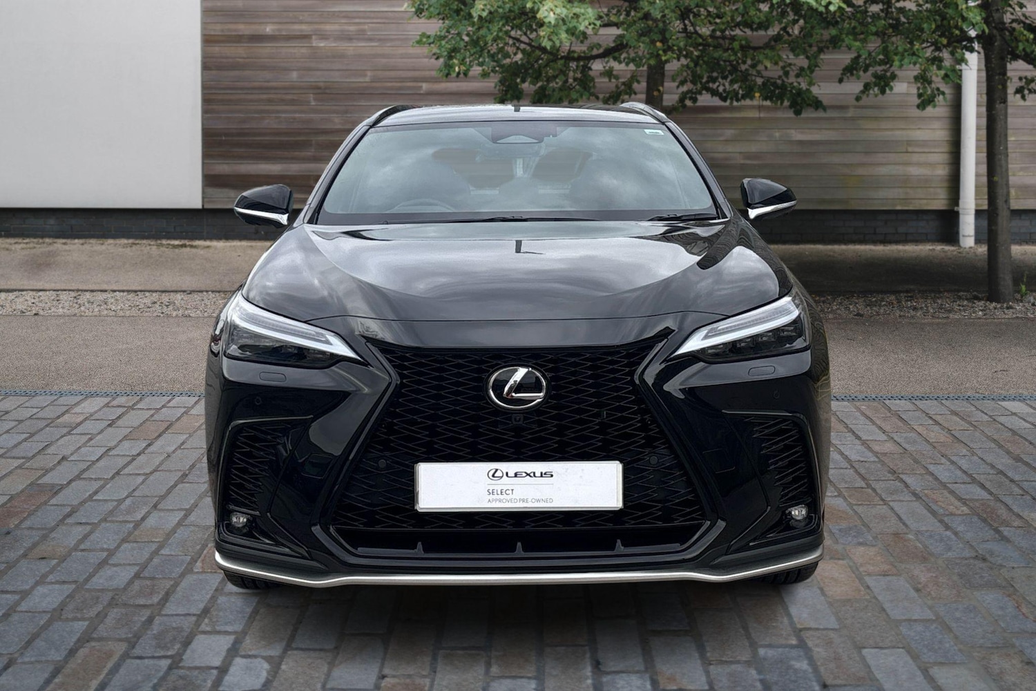 Used Lexus NX 2025 for sale - 77176672: Photo 6