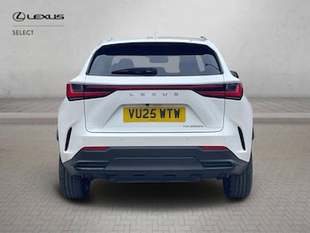 Used Lexus NX 2025 for sale - 78215641: Photo