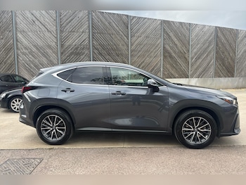 Used Lexus NX 2023 for sale - 77177133: Photo