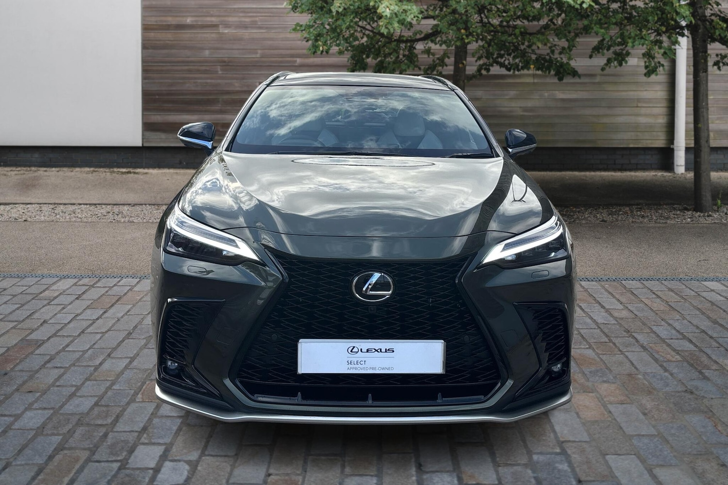 Used Lexus NX 2025 for sale - 76586554: Photo 7