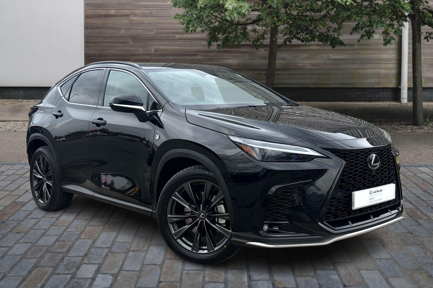 Used Lexus NX 2025 for sale - 76111507: Photo 1