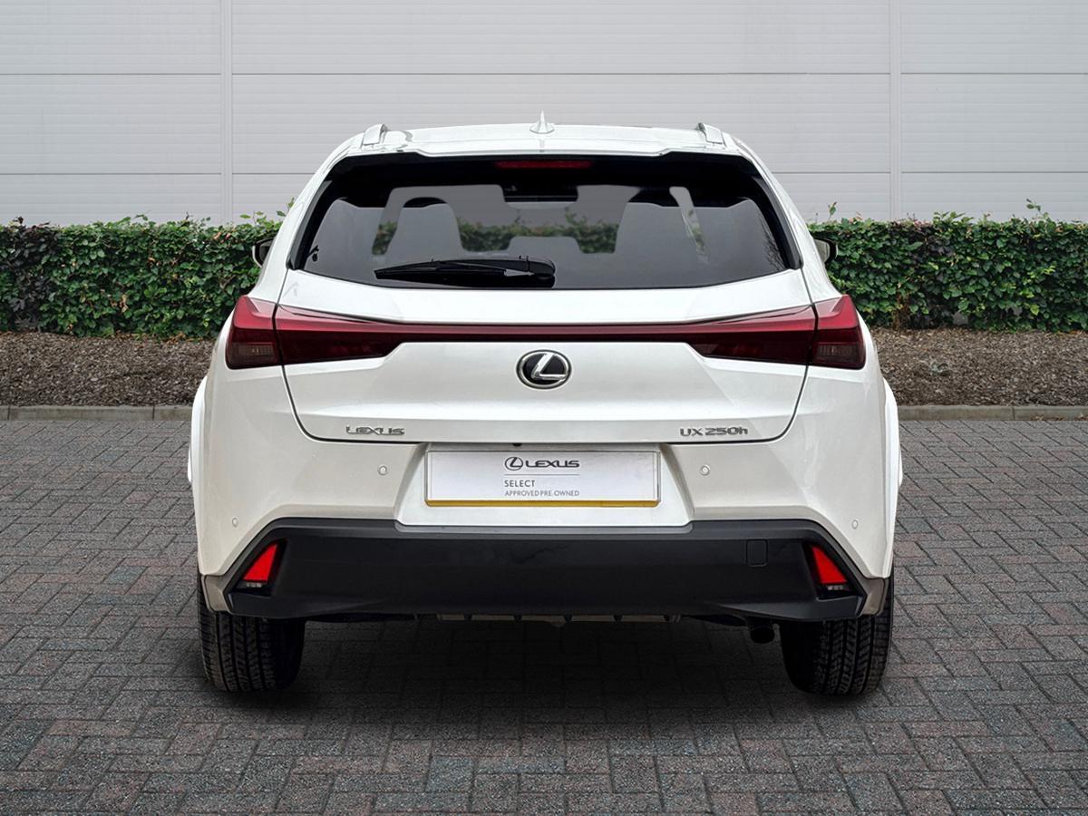 Used Lexus UX 2023 for sale - 77799709: Photo 4