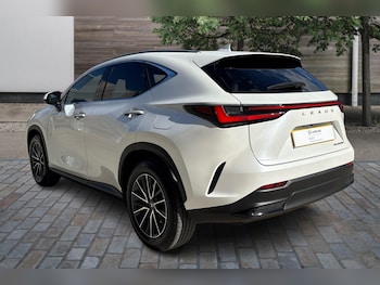 Used Lexus NX 2025 for sale - 77177268: Photo