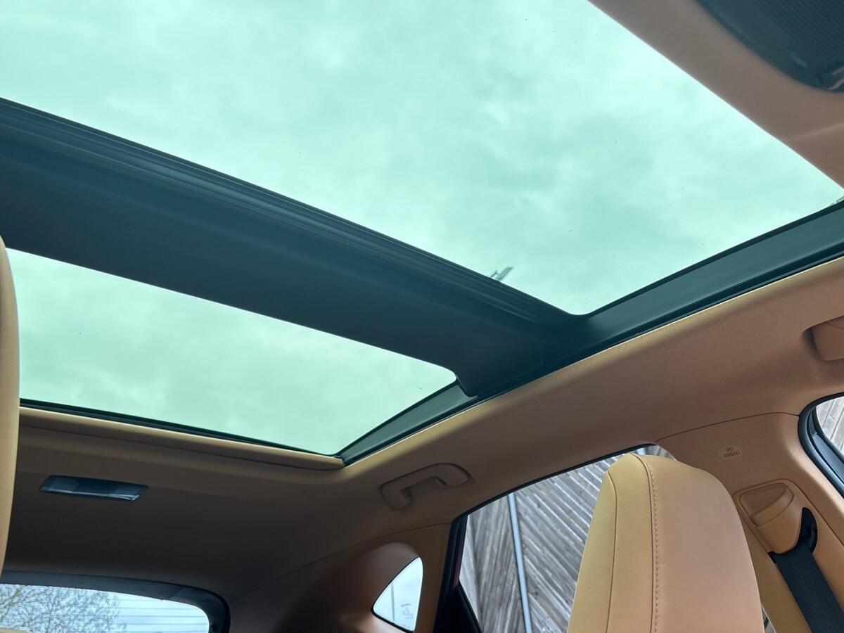 Used Lexus NX 2023 for sale - 77176878: Photo 13