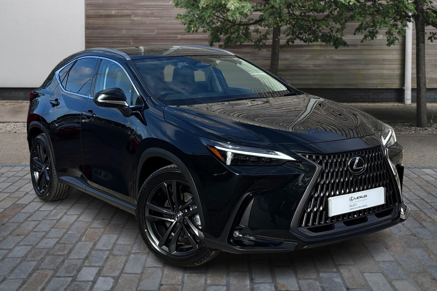 Used Lexus NX 2025 for sale - 76168390: Photo 1