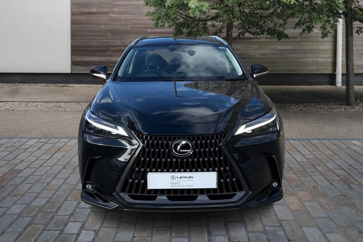 Used Lexus NX 2025 for sale - 76168390: Photo 7
