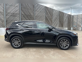 Used Lexus NX 2023 for sale - 75636252: Photo