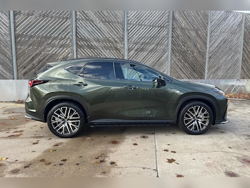 Used Lexus NX 2025 for sale - 77177507: Photo