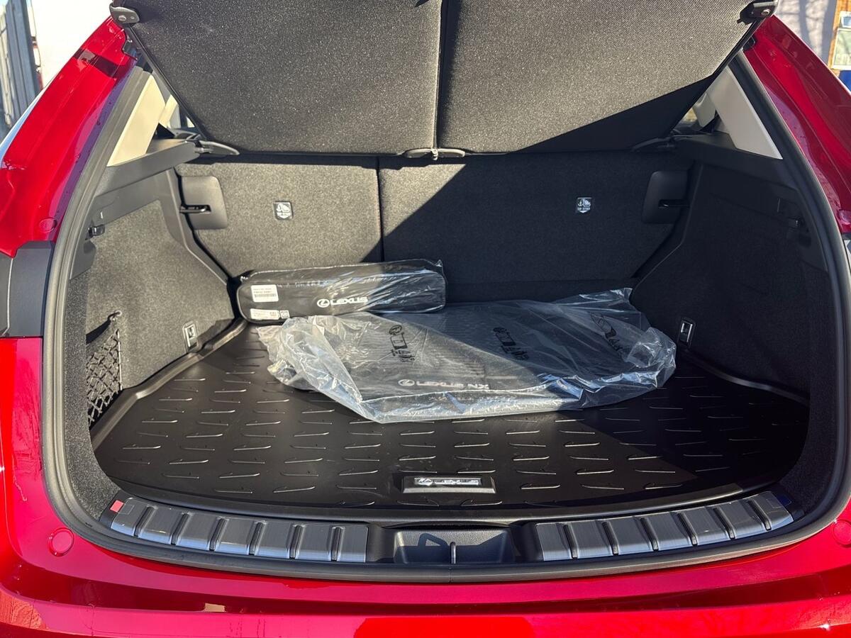 Used Lexus NX 2025 for sale - 77124449: Photo 10