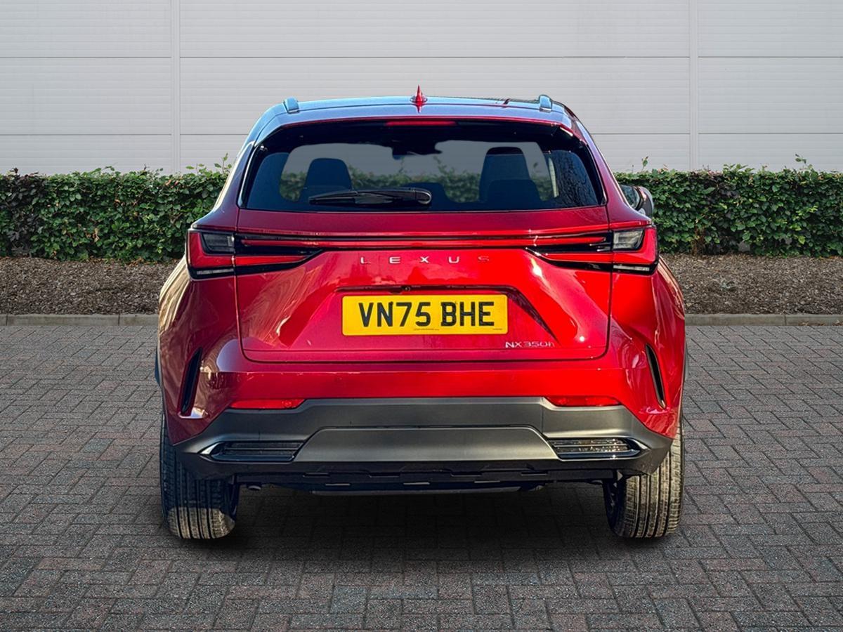 Used Lexus NX 2025 for sale - 77124449: Photo 4