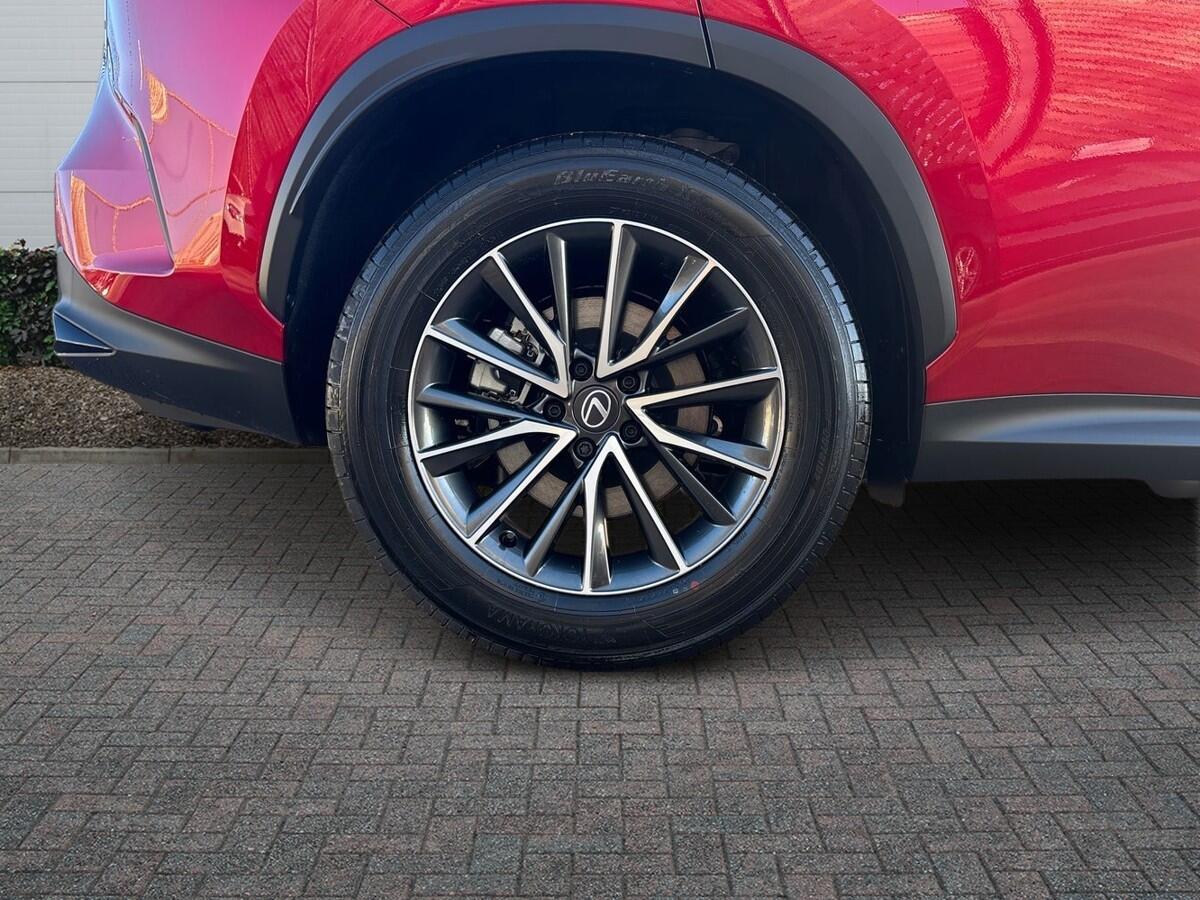 Used Lexus NX 2025 for sale - 77124449: Photo 6