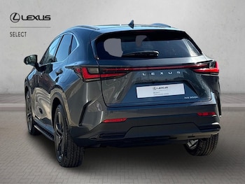 Used Lexus NX 2026 for sale - 79485521: Photo