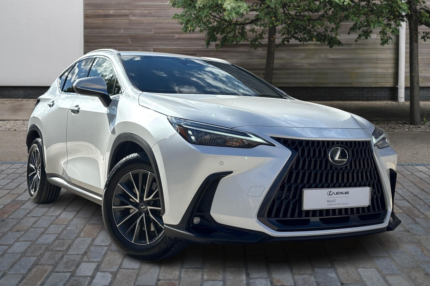 Used Lexus NX 2025 for sale - 76111417: Photo 1