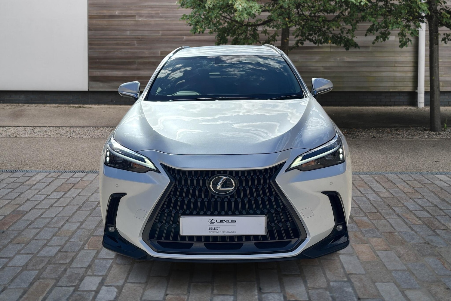 Used Lexus NX 2025 for sale - 76111417: Photo 7