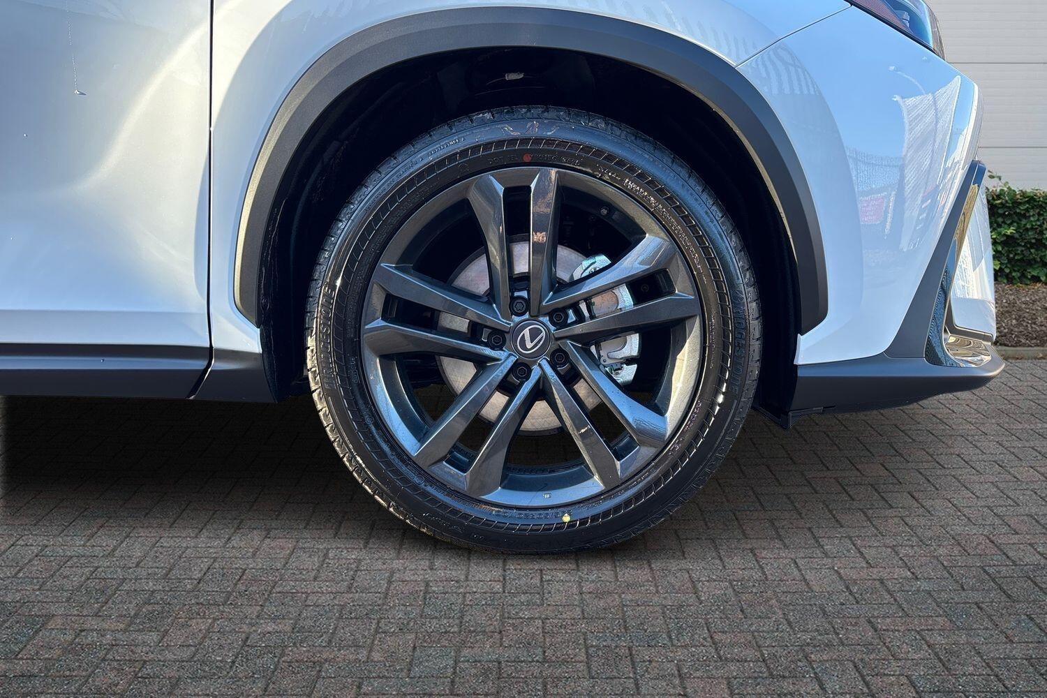 Used Lexus NX 2025 for sale - 77176824: Photo 6