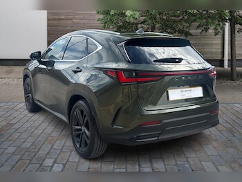 Used Lexus NX  for sale - 75859603: Photo