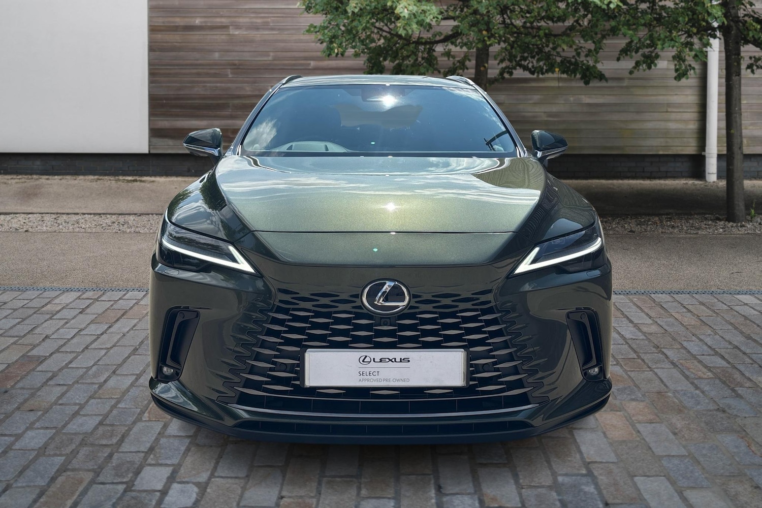 Used Lexus RX 2025 for sale - 77013440: Photo 7