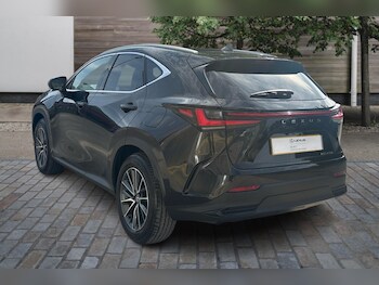 Used Lexus NX 2025 for sale - 75859629: Photo