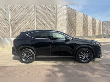 Used Lexus NX 2025 for sale - 75859629: Photo