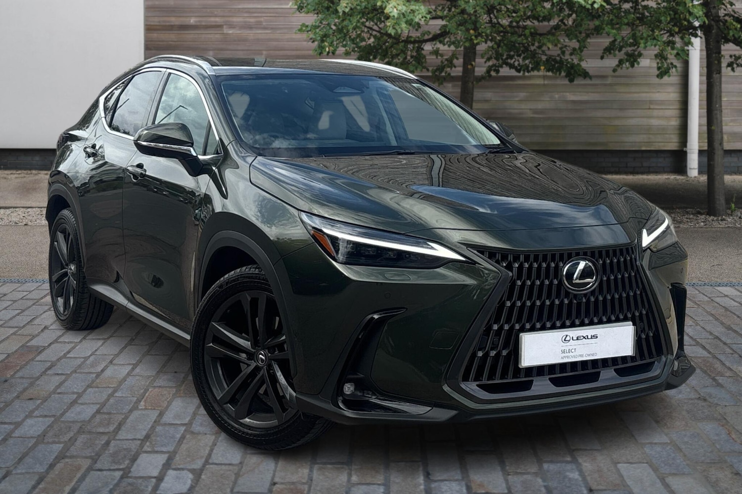 Used Lexus NX 2025 for sale - 76111191: Photo 1