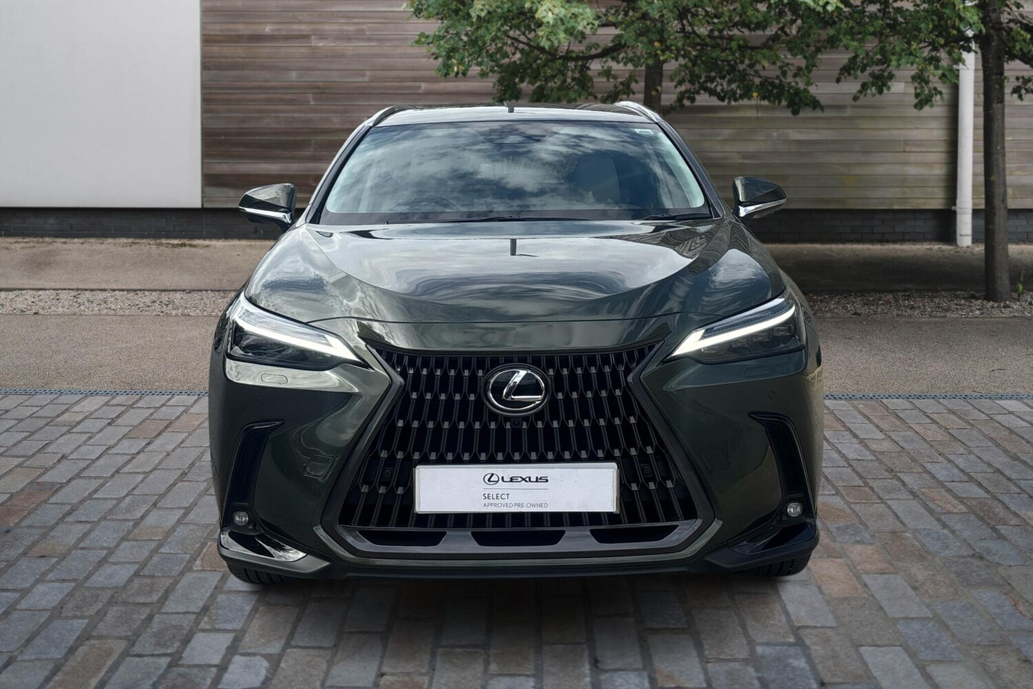 Used Lexus NX 2025 for sale - 76111191: Photo 7