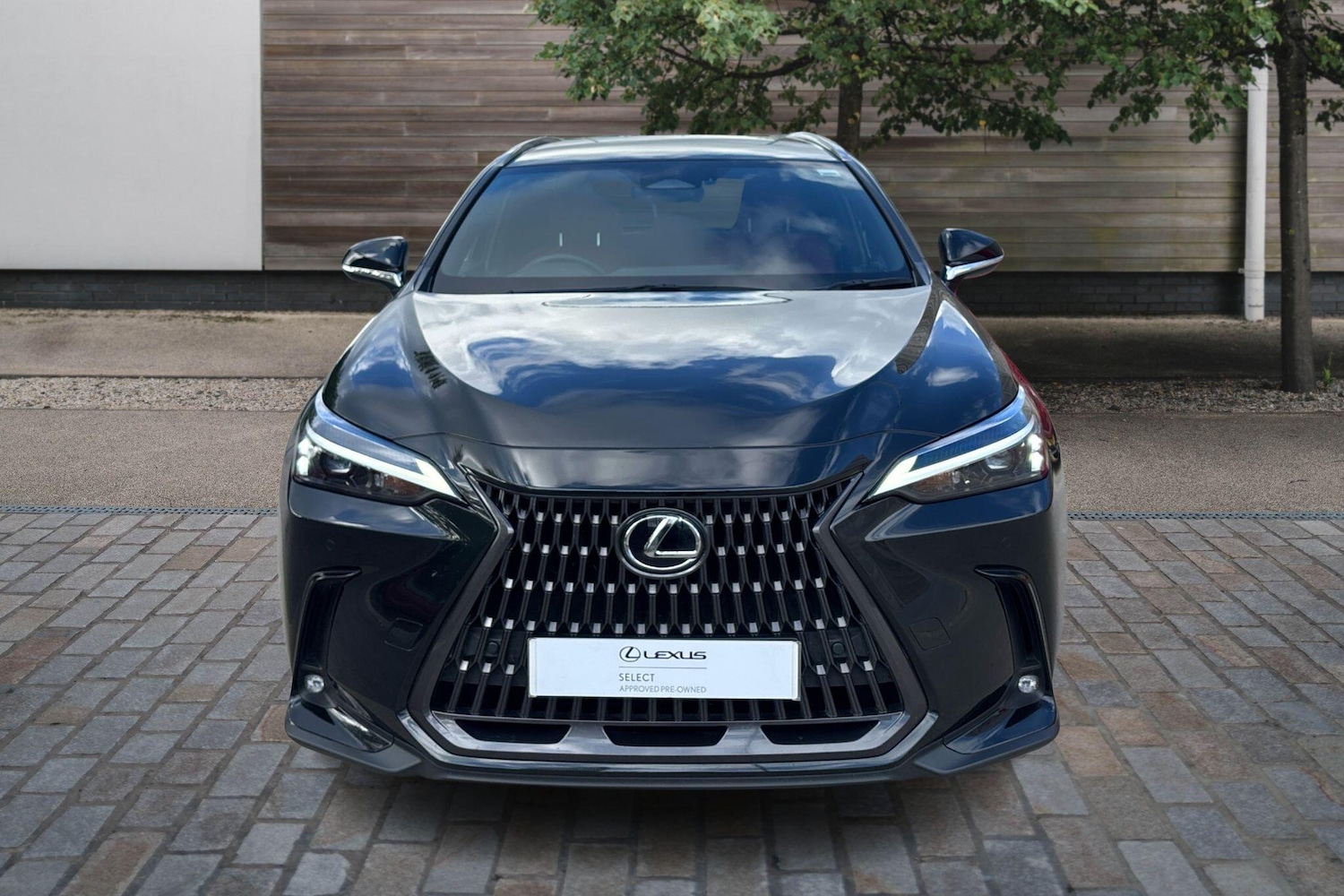 Used Lexus NX 2024 for sale - 76110911: Photo 7