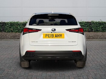 Used Lexus NX 2019 for sale - 77413049: Photo