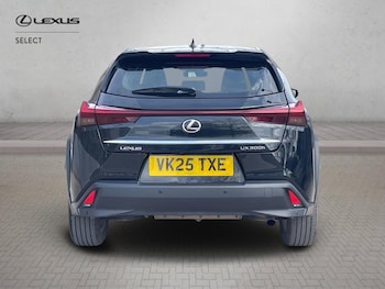 Used Lexus UX 2025 for sale - 78102530: Photo