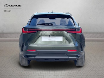 Used Lexus NX 2026 for sale - 78102462: Photo