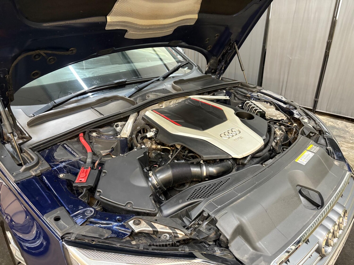 Used Audi S5 for sale - 77633052: Photo 61