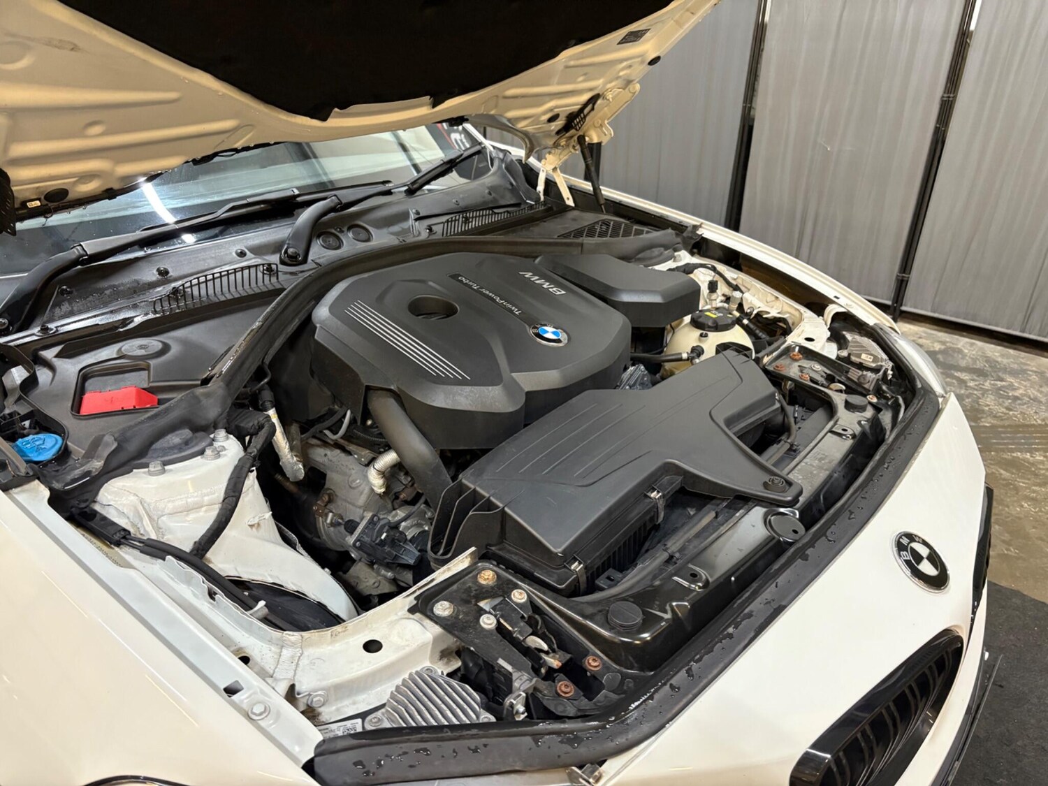 Used BMW 2 Series for sale - 77510357: Photo 51