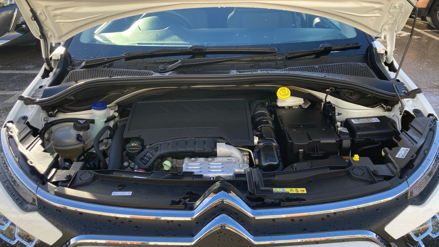 Used Citroen C3 2024 for sale - 77135646: Photo 8