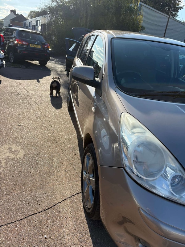 Used Nissan Note 2011 for sale - 76208635: Photo 7