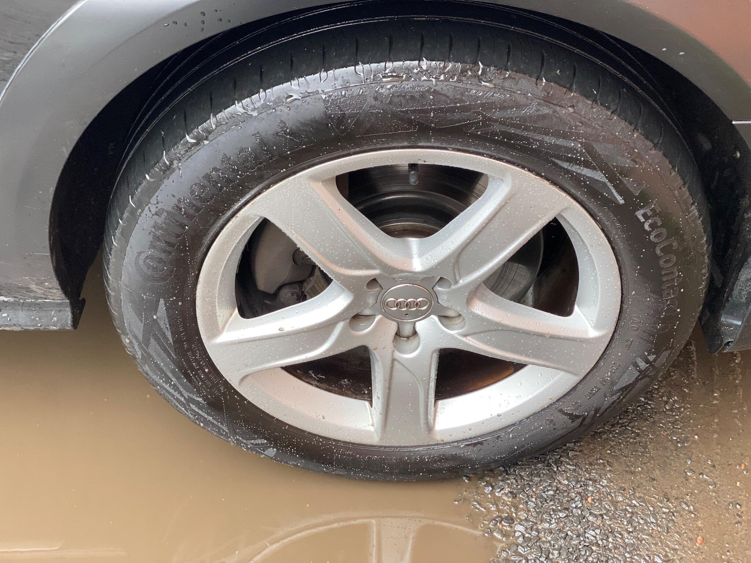 Used Audi A6 Allroad 2016 for sale - 77386867: Photo 59