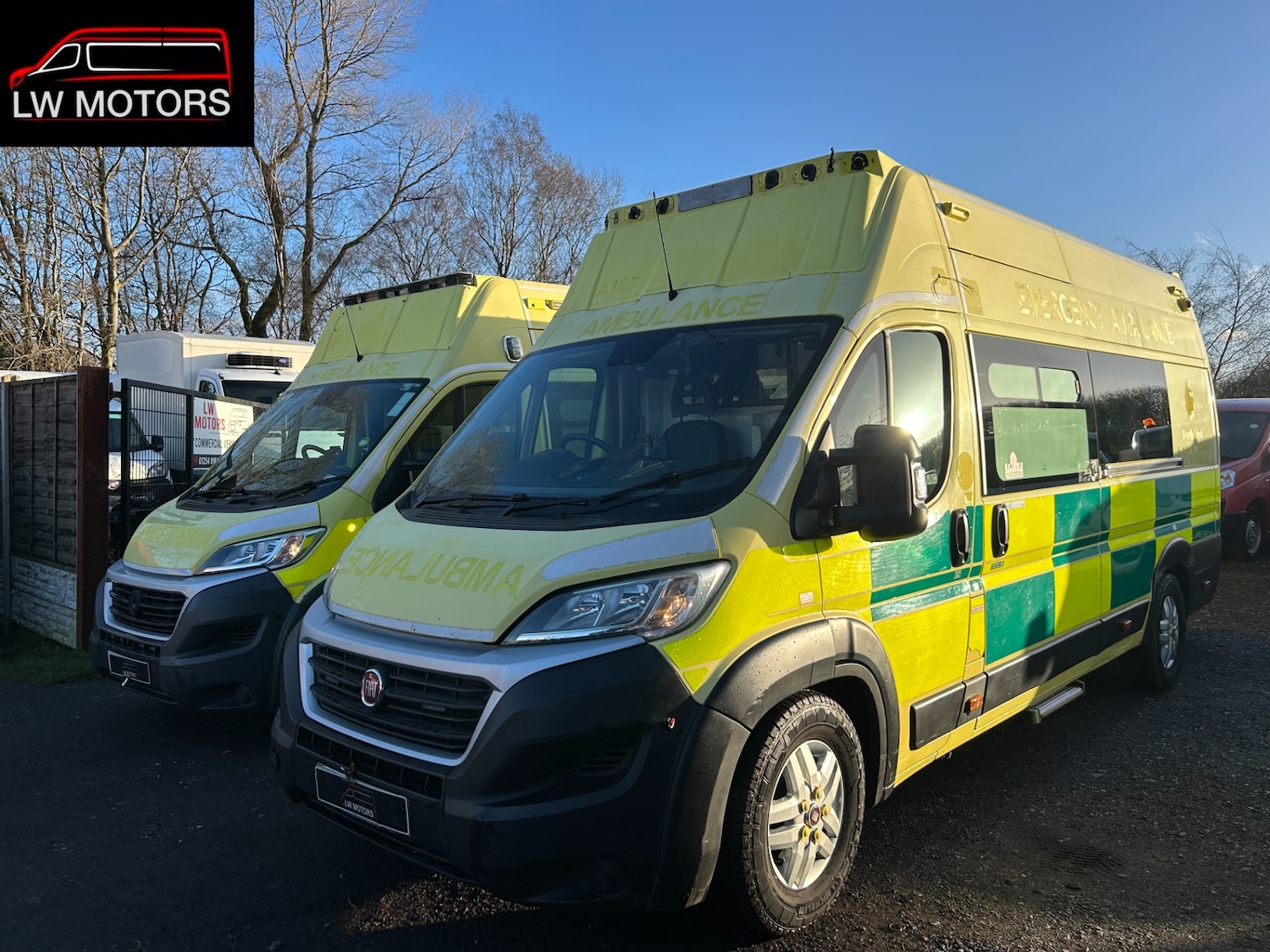 Used Fiat Ducato 2019 for sale - 77004873: Photo 3